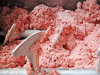 mixer-grinder.2_t image mixer-grinder.2_t Malak Al Naim Co.  |  MALAK - PSS SMGAs Mixer Grinder